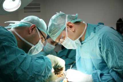 Organ Transplant Photo