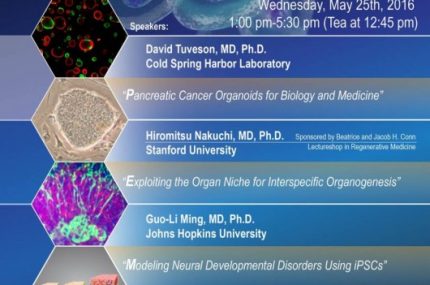 minisymposium