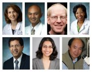 Faculty Promotions and Additions