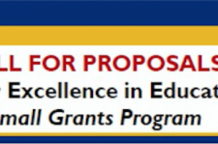IEE small grants