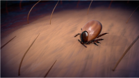 Lyme Disease Animation Named Salon Winner
